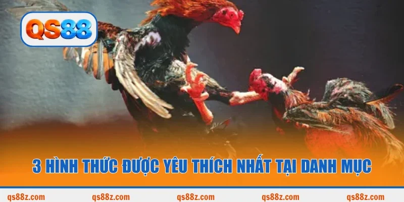 3 hình thức được yêu thích nhất tại danh mục
