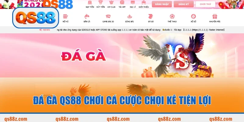 Đá gà QS88 chơi cá cược chọi kê tiện lợi