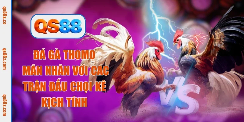 đá gà thomo